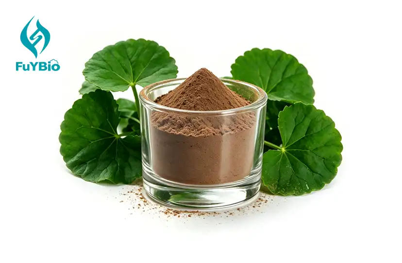 Centella Asiatica Extract 40% Total Triterpenes